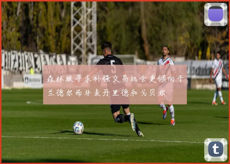 森林狼寻求补强交易机会更倾向于兰德尔而非麦丹里德和戈贝尔