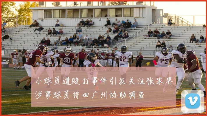 小球员遭殴打事件引发关注张家界涉事球员将回广州协助调查